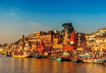 NCQC 2019 Statistics